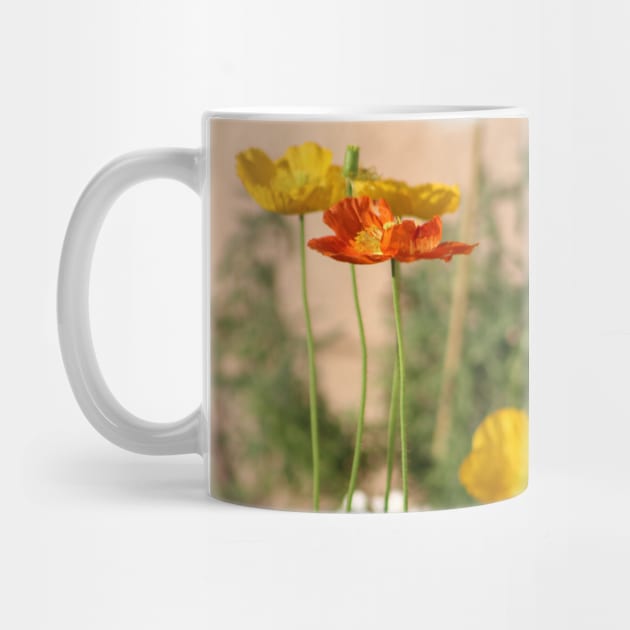 Rust Orange and Butter Yellow Poppies by ButterflyInTheAttic